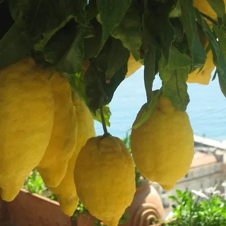 Marietta 住宿加早餐酒店 3*